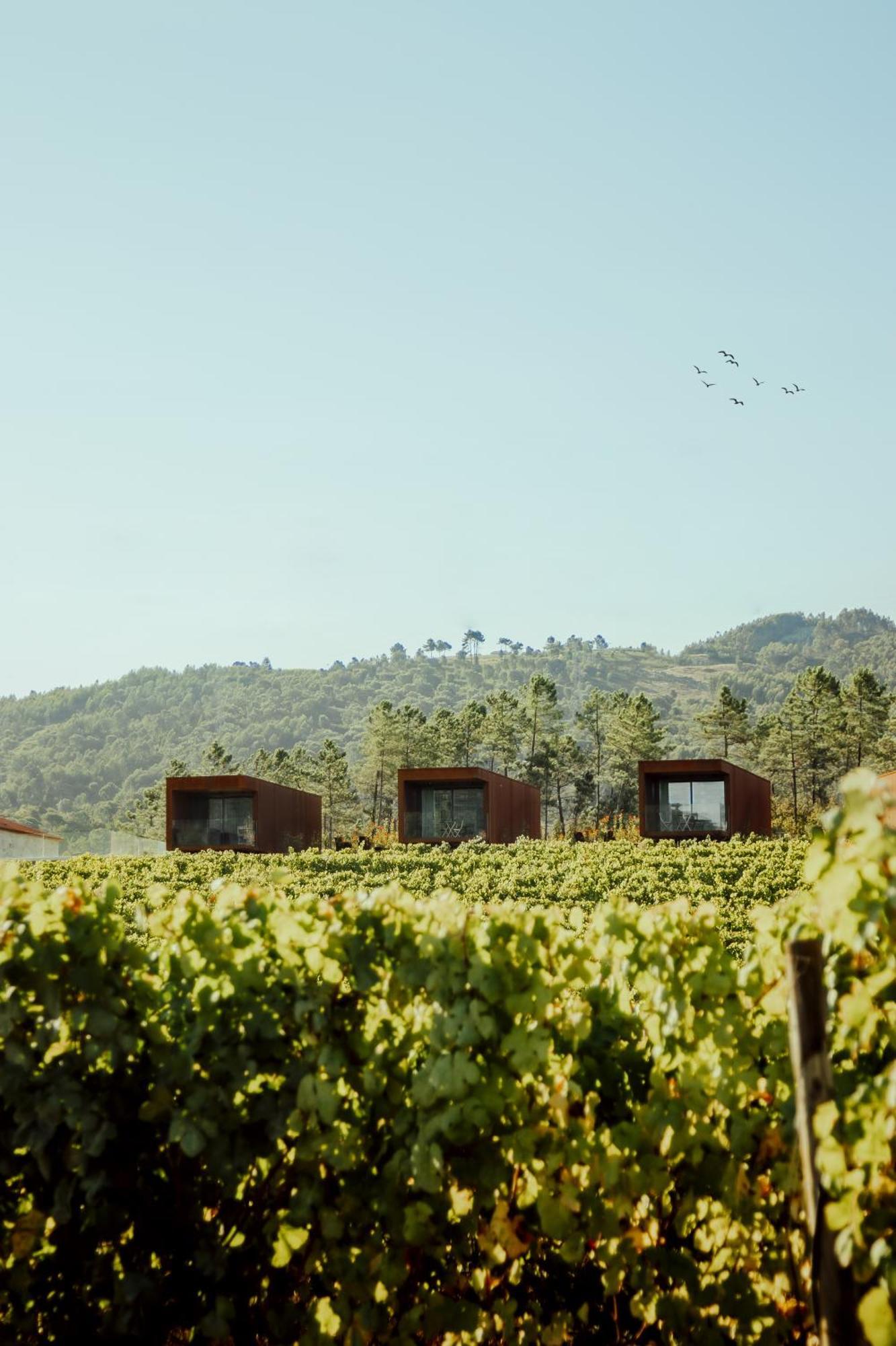 Quinta Areias - Solar Da Pena Braga